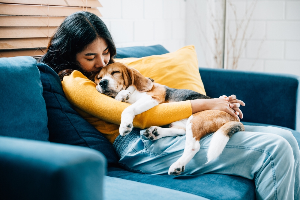 Airbnb animaux acceptés : quels avantages et inconvénients ?